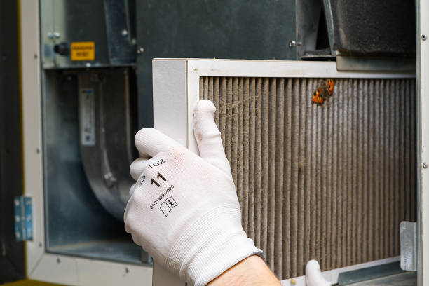 Best Dryer Vent Cleaning Services  in Claypool, AZ